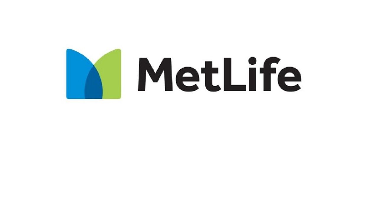 MetLife Türkiye çalışanları gönüllülük projesinde yer aldı