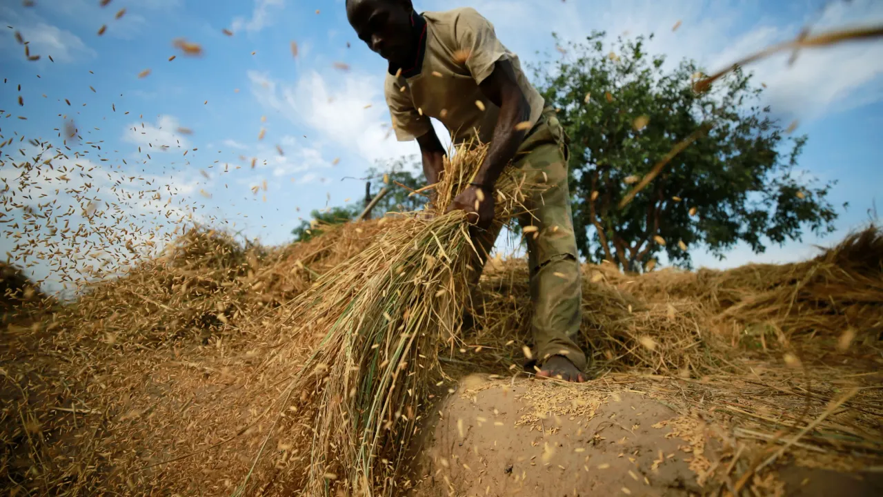 Mozambik’in 2025-2026 Tarım Sezonu İçin Kuraklık Sigortası