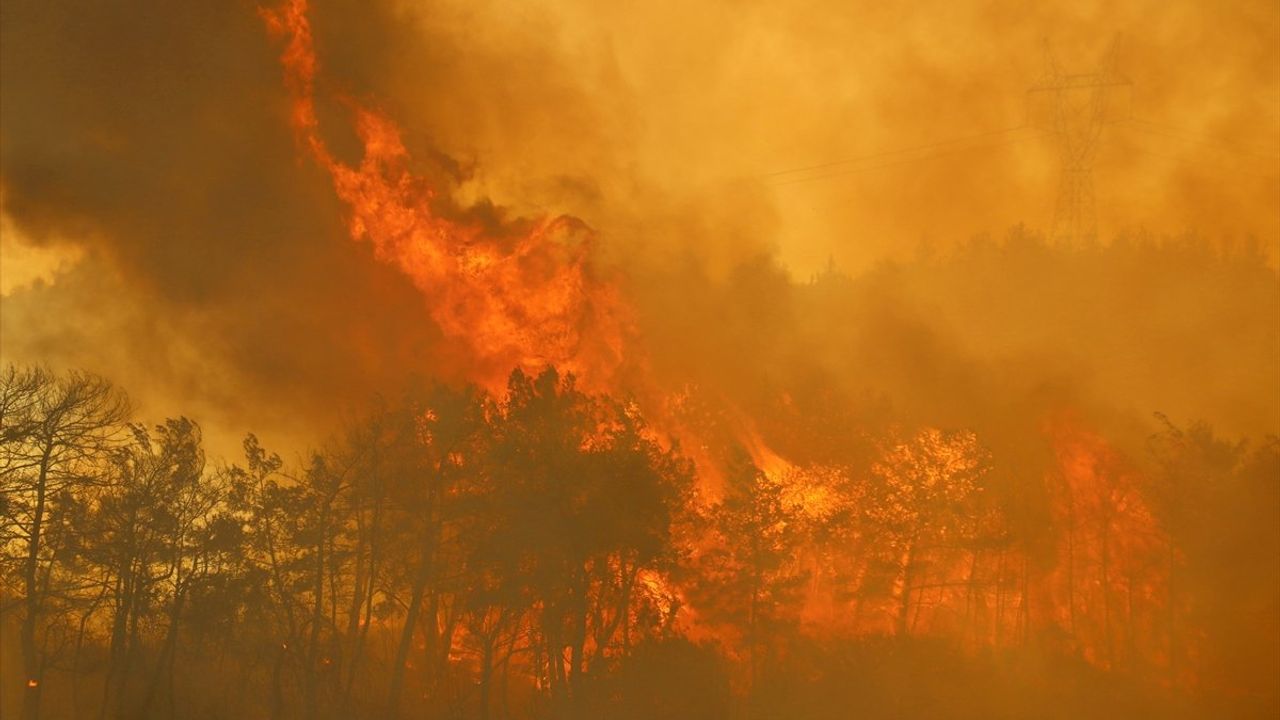 Sigorta orman yangınlarını kapsar mı?