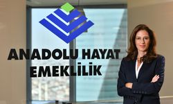 Anadolu Hayat Emeklilik’ten yeni bir ürün: Esnafa Özel Emeklilik Planı
