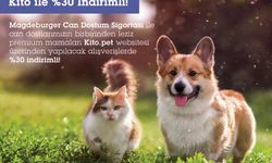 Magdeburger Can Dostum Sigorta'lılara yepyeni kampanya: Evcil hayvan mamaları %30 indirimli