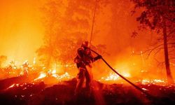 İklim krizi mega yangınları tetikliyor