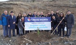 Türkiye Sigorta'dan 10 bin fidanlık Hatıra Ormanı