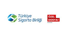 Türkiye Sigorta Birliği, 2024 Eylül sonu istatistiklerini açıkladı