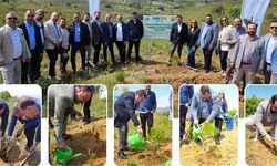 Unico Sigorta’dan geleceğe nefes: 10.000 fidanlık hatıra ormanı İzmir’de hayat buldu