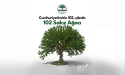 GIG Sigorta’dan cumhuriyetin 102. yılına anlamlı armağan: 102 sakız ağacı