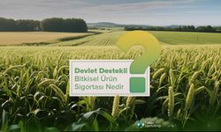 Türkiye Sigorta Birliği’nden üreticiye çağrı: Tarımda risk var, güvence de var!