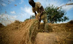 Mozambik’in 2025-2026 Tarım Sezonu İçin Kuraklık Sigortası