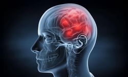 Telefona sürekli bakmak hafıza sorunlarına neden oluyor