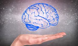 Kas kütleniz beyin yaşınızı belirliyor: İşte genç bir beyne sahip olmanın sırrı