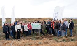 MetLife Türkiye Fidanları ile Geleceğe Nefes Oluyor