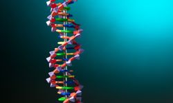 Yeni araştırma: 32 yaşında ergenlikten çıkıyor, 66’da ise yaşlanmaya başlıyormuşuz