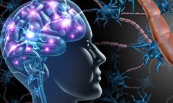 Dünyada yalnızca 13 vakaya rastlandı: Yeni bir nörolojik hastalık keşfedildi