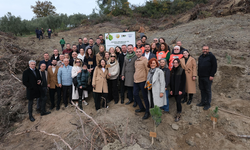 Anadolu Sigorta’nın 100. Yılına 100 Bin Fidanlık Yeşil Miras