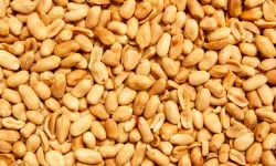 Unutkanlığı yavaşlatın: Uzmanlar, hafızayı güçlendiren günlük dozu açıkladı