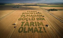 Hasar Alan Üreticiye 33 Milyar TL Can Suyu: TARSİM 2025 Bilançosunu Açıkladı