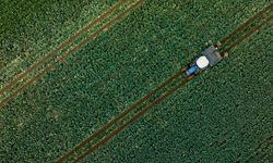 Çiftçilere 1,1 milyar liralık tarımsal destekleme ödemesi bugün yapılacak