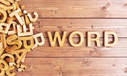 2025 yılının kelimesi açıklandı