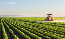 Devlet Destekli Gelir Koruma Sigortası nedir?