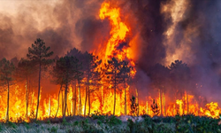 Şiddetli fırtınalar 21. yüzyılın en maliyetli sigorta riskleri haline geldi