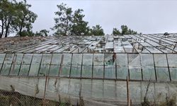 TARSİM, selden etkilenen üreticilere 586 milyon lira hasar ödemesi yapacak