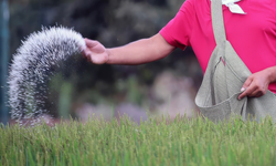 Sigorta maliyetleri patladı, gübre sevkiyatı durdu