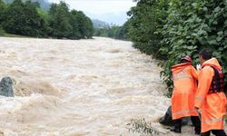 Parametrik sel sigortasının başarısının anahtarı çok kaynaklı verilerde yatıyor