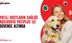 Patili dostların sağlığı Aksigorta Pati Plus ile güvence altında