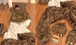 Ayı kostümüyle lüks araçlara saldırdılar: Sigorta dolandırıcılığı ortaya çıkarıldı