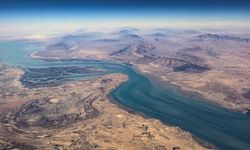 Allianz Trade: Savaşın sisleri dağılmıyor