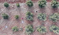 Güneydoğu’ya teşvik paketi: Yatırımlara güçlü sigorta ve prim desteği