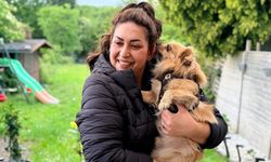Almanya’da köpek sahiplerine sigorta şartı