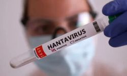 Hantavirüs alarmı: DSÖ’den “Pandemi Potansiyeli Var” açıklaması