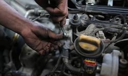 Otomobillerde kemirgen sorunu: Sigorta kapsıyor mu?