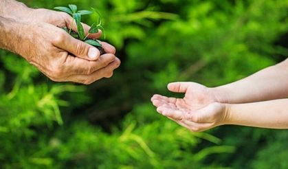 Tarım sigortalarında teknolojinin rolü