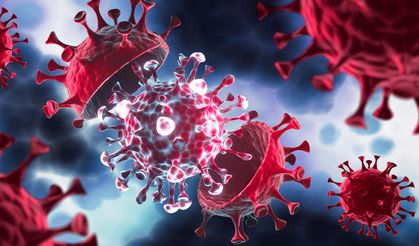 Covid-19'dan daha büyük bir salgın mı geliyor?