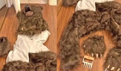 Ayı kostümüyle lüks araçlara saldırdılar: Sigorta dolandırıcılığı ortaya çıkarıldı