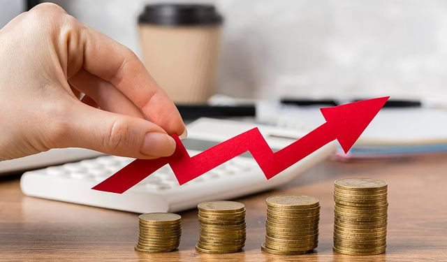 BES ve OKS'de katılımcı sayısı artarken fonlar büyümeye devam ediyor