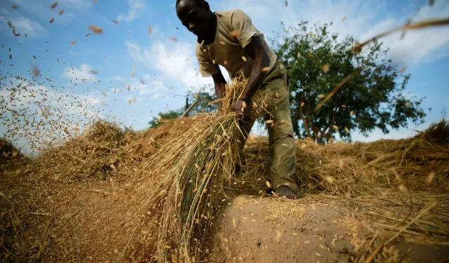 Mozambik’in 2025-2026 Tarım Sezonu İçin Kuraklık Sigortası