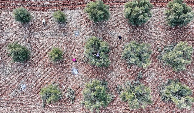 Güneydoğu’ya teşvik paketi: Yatırımlara güçlü sigorta ve prim desteği