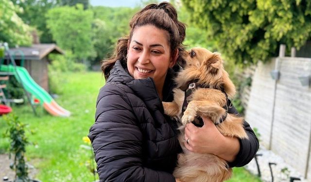 Almanya’da köpek sahiplerine sigorta şartı