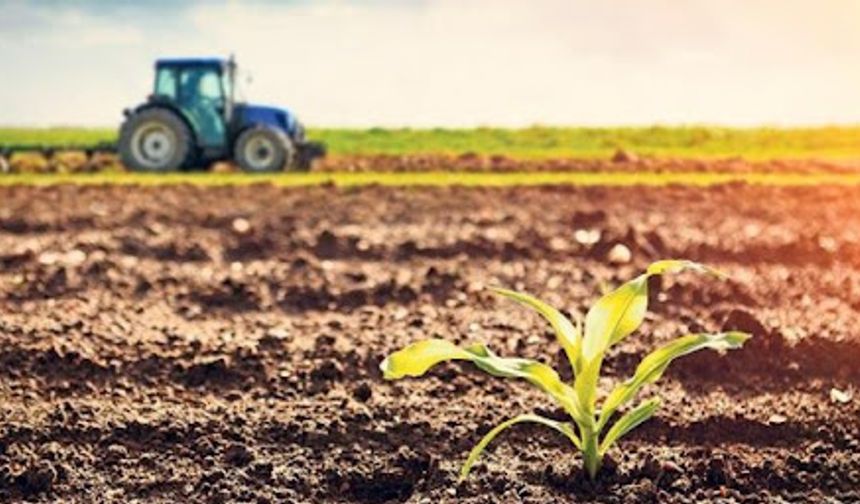 Çiftçiye Büyük Destek: 4,2 Milyar Lira Hasar Ödemesi