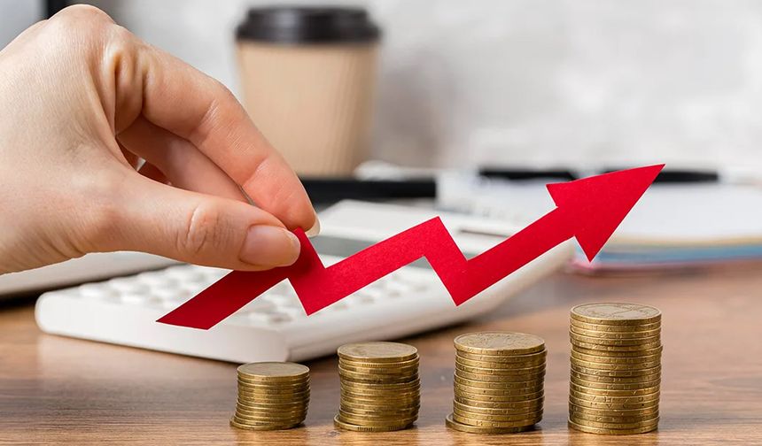BES ve OKS'de katılımcı sayısı artarken fonlar büyümeye devam ediyor