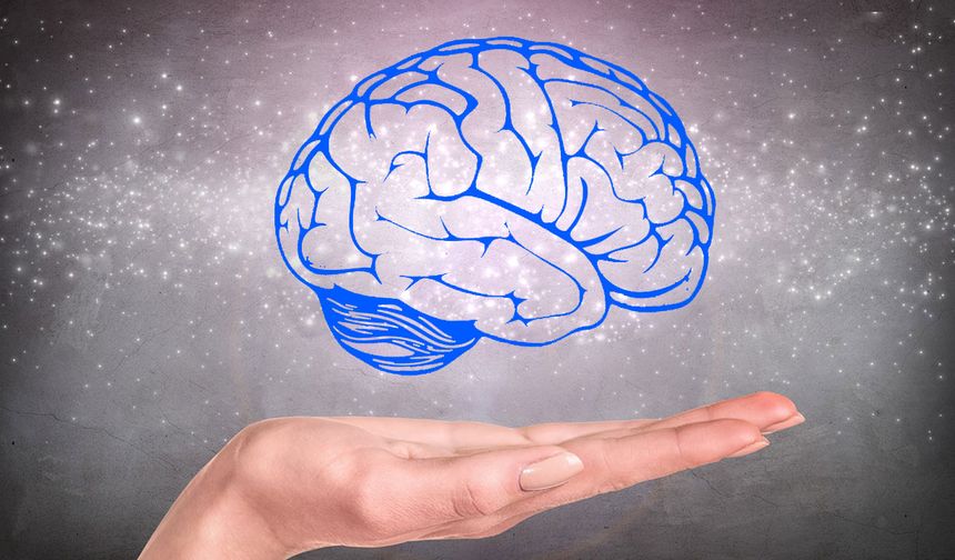 Kas kütleniz beyin yaşınızı belirliyor: İşte genç bir beyne sahip olmanın sırrı