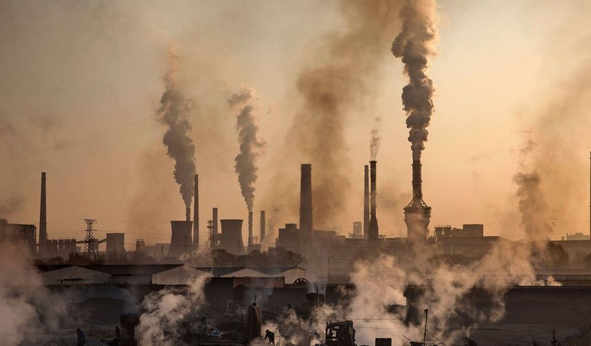 Doğayı kirleten şirketlere ceza yağdı