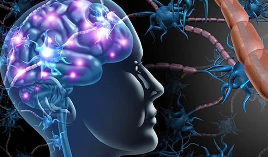 Dünyada yalnızca 13 vakaya rastlandı: Yeni bir nörolojik hastalık keşfedildi