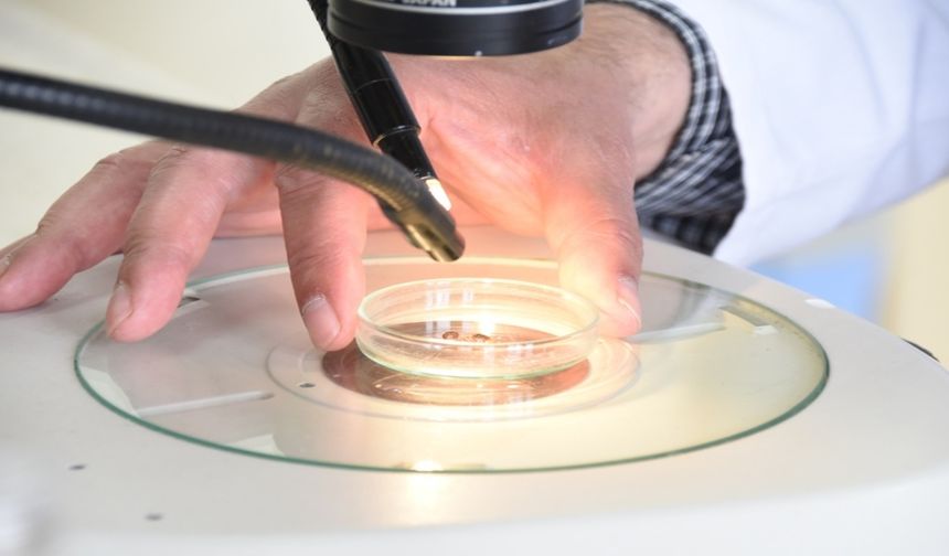 Yeni grip türü dünyayı alarma geçirdi