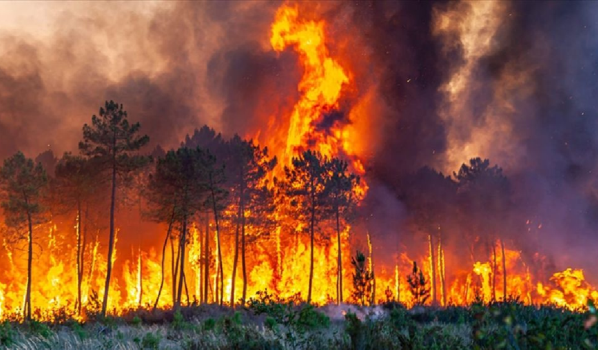 Şiddetli fırtınalar 21. yüzyılın en maliyetli sigorta riskleri haline geldi
