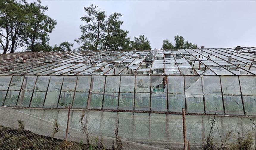 TARSİM, selden etkilenen üreticilere 586 milyon lira hasar ödemesi yapacak