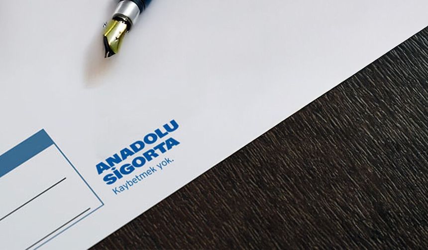 Anadolu Sigorta bağımsız denetim şirketini atadı